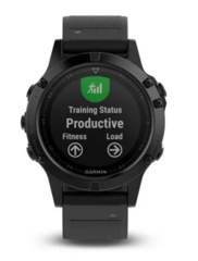 Garmin Fenix 5