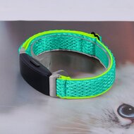 Fitbit Inspire 3 &ndash; Elastisches Solo Loop Nylonarmband - Mintgr&uuml;n