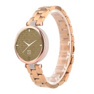 Stahlgliederarmband - Champagner Gold - Garmin Lily