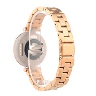Stahlgliederarmband - Champagner Gold - Garmin Lily